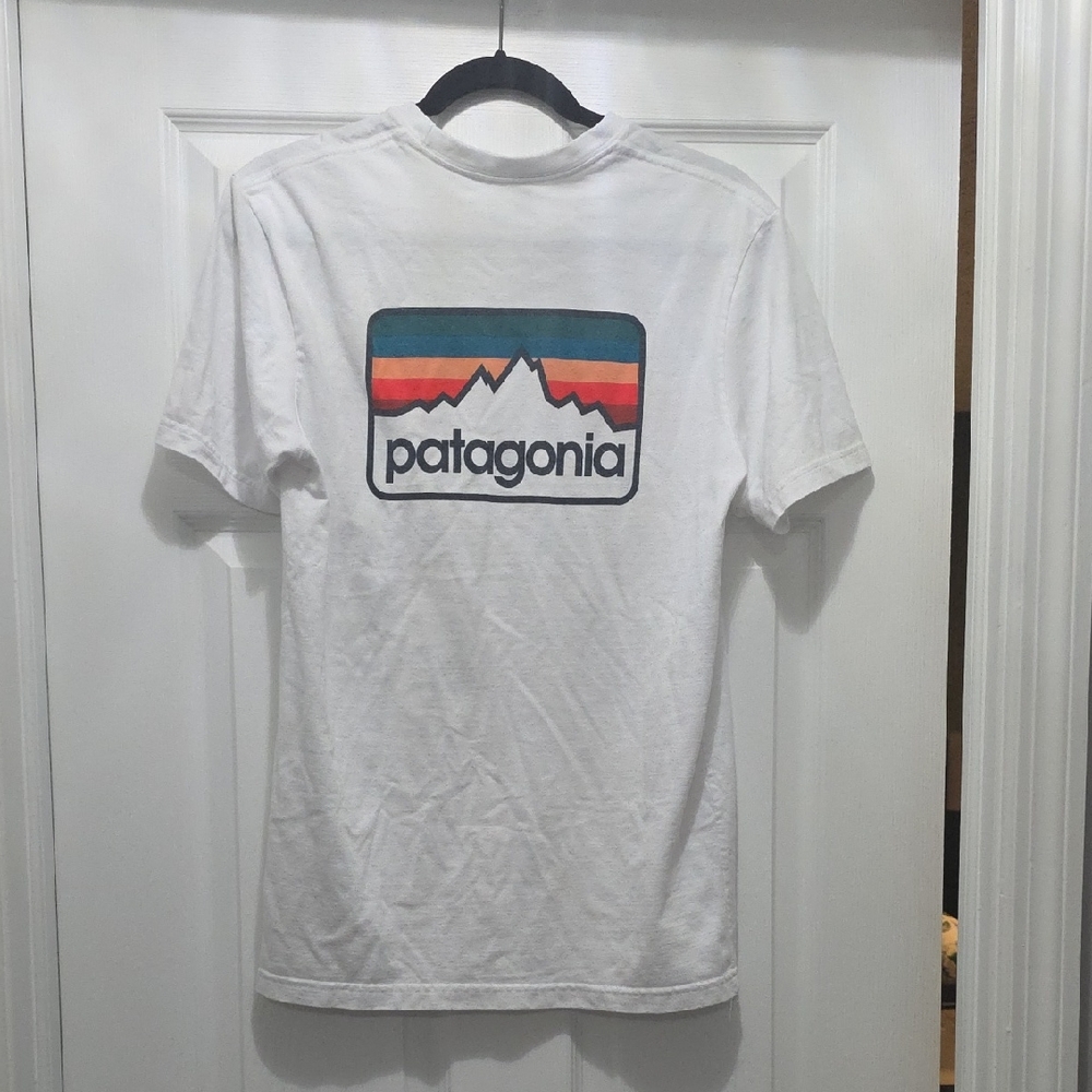 Patagonia White Tee with Mountain Graphic